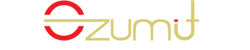 E-ZumIT KFT - A személyre szabott megoldások szállítója